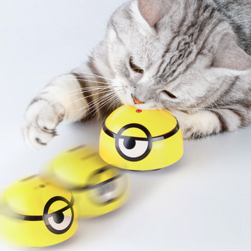 Catch Me Cat Toy™ | Se om din kat fange dette legetøj!